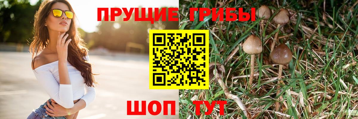 Галлюциногенные грибы GOLDEN TEACHER Барабинск